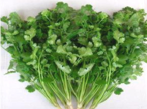 Rau mùi tây giúp xóa sạch tàn nhang